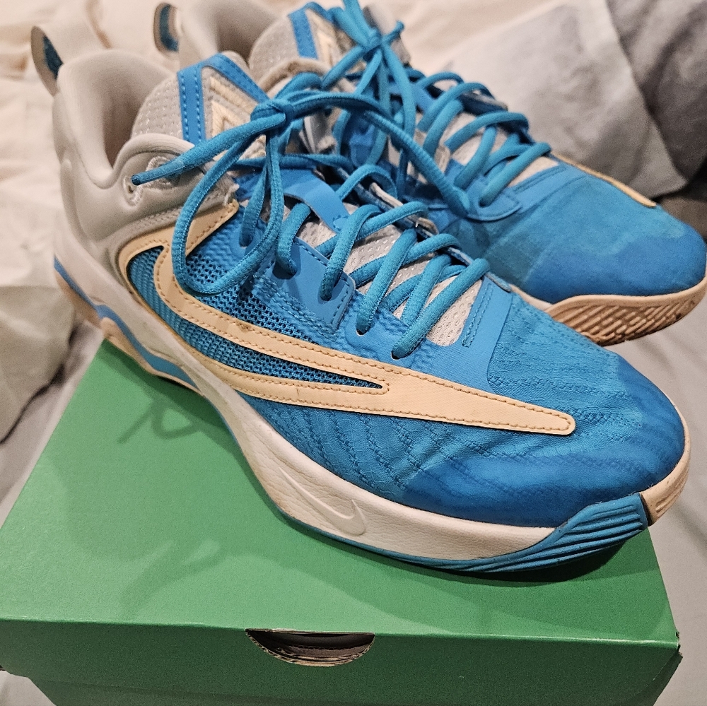 Nike Giannis Sneakers
